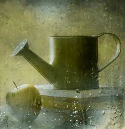 Nature morte devant une fenêtre pluvieuse - Delphine Devos
