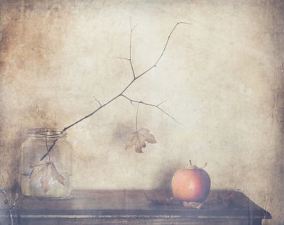  - Delphine Devos