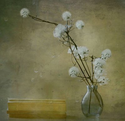 Fleurs douces et sereines - Delphine Devos