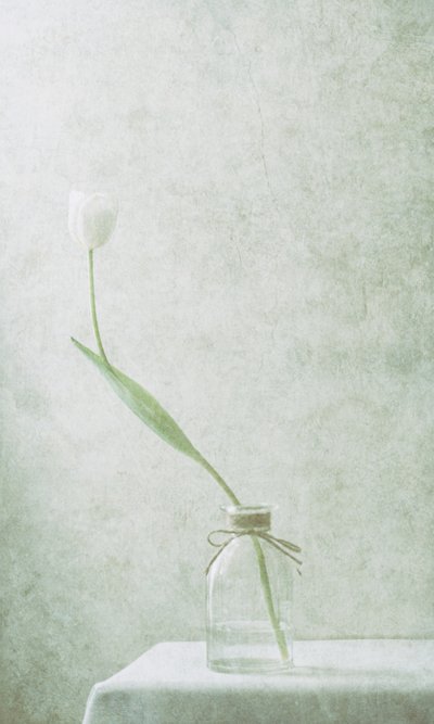  - Delphine Devos