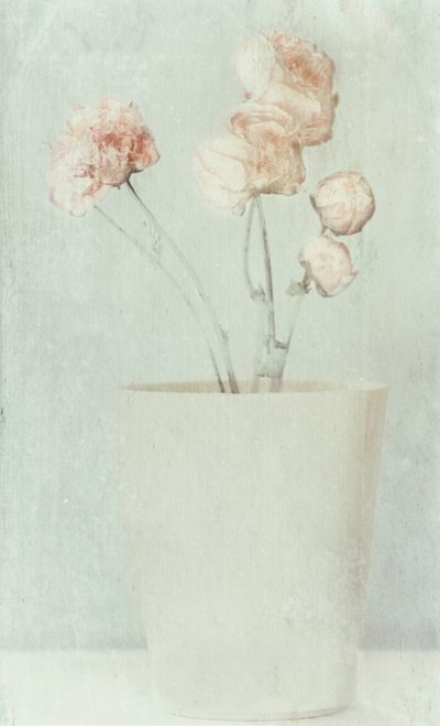 Fleurs aux couleurs douces et délavées - Delphine Devos