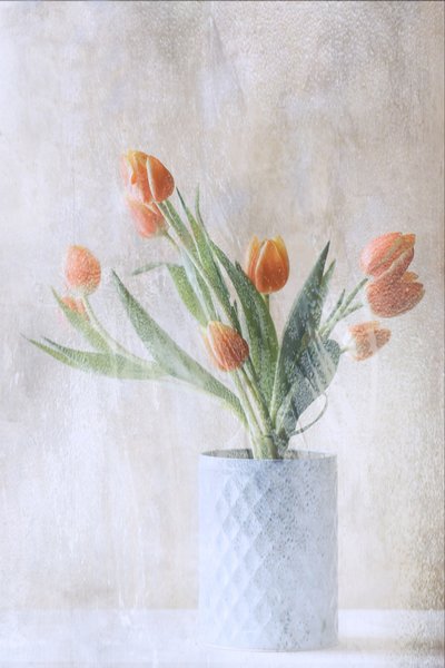  - Delphine Devos