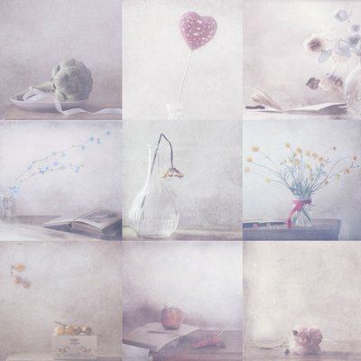  - Delphine Devos