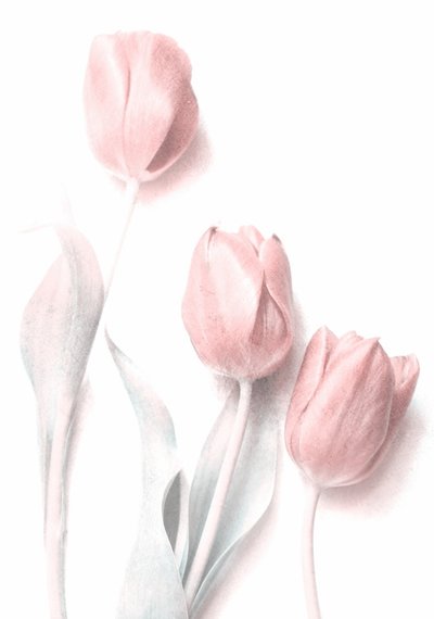  - Delphine Devos