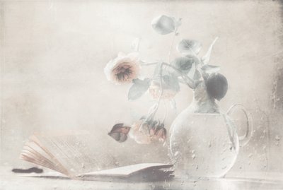  - Delphine Devos