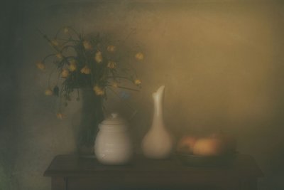  - Delphine Devos