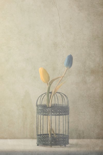  - Delphine Devos
