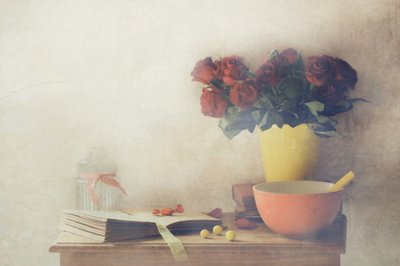  - Delphine Devos