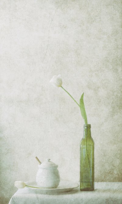  - Delphine Devos