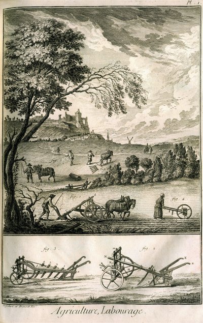 Travail des champs - Agriculture, semis, labourage. Divers modèles de rouleaux et charrues : Planche d
