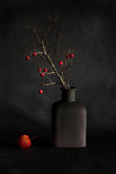 Nature morte aux baies pourpres - Dennis Zhang