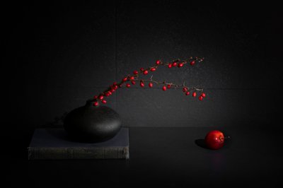 Nature morte : baies rouges dans un vase noir - Dennis Zhang