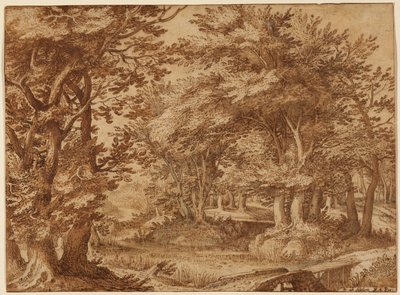 Paysage forestier avec un château lointain - Denys van Alsloot