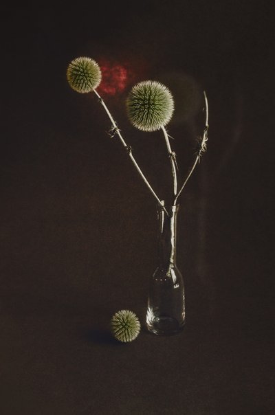  - Desislava Ignatova