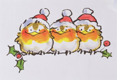 Rouges-gorges de Noël - Diane Matthes