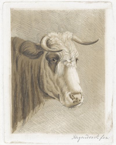 Koekop - Diederik Jan Singendonck (signed by artist)
