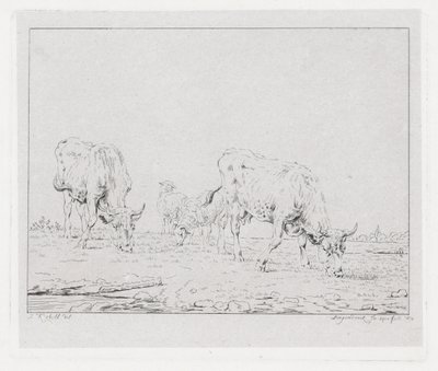 Vaches paissant - Diederik Jan Singendonck
