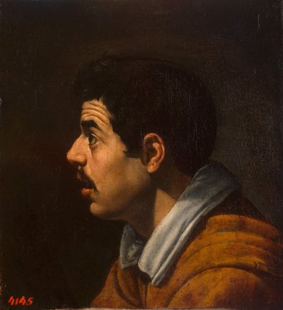 Tête d
