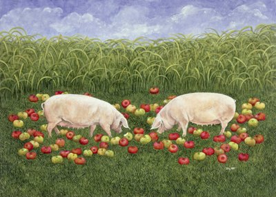 Pommier - Ditz