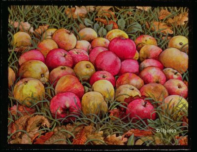 Pommes de Durnitzhofer, 1993 - Ditz