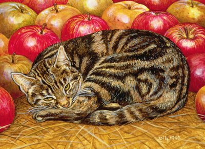 Pomme-Droite-Chat - Ditz
