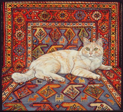 Shortcake, 1993 - Ditz