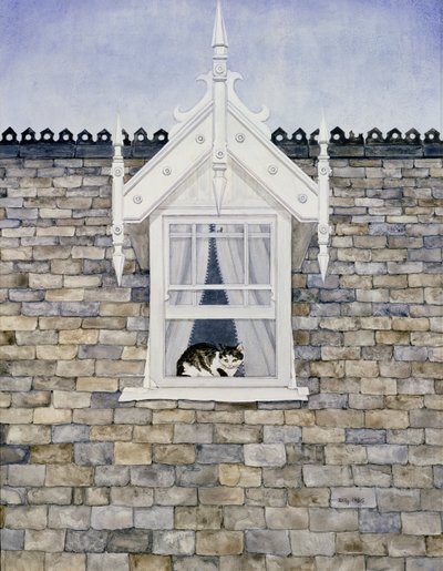 Chat de St. Helier Dormer - Ditz