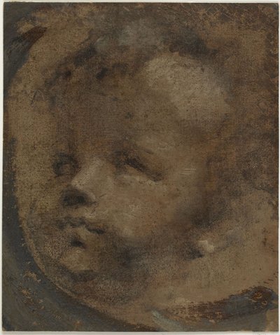 Tête de putto - Domenico Beccafumi