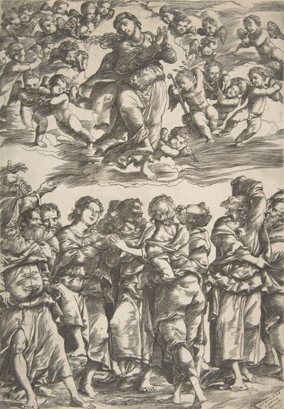 La Vierge au centre en haut dans les nuages avec les mains jointes et le pied droit levé, entourée de... - Domenico Campagnola
