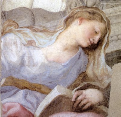 Personnification de la vertu - Domenico I Piola