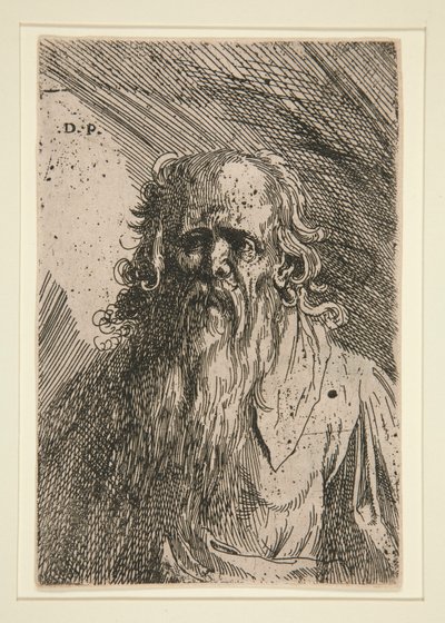 Vieil homme avec une barbe - Domenico Piola