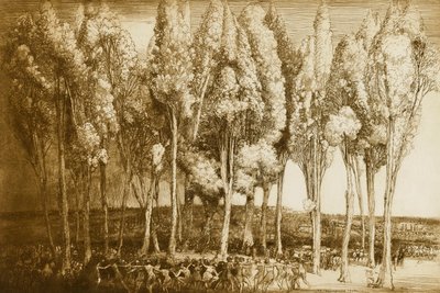 La danse du printemps - Donald Shaw MacLaughlan
