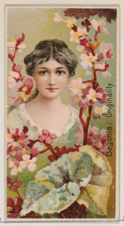 Bégonia : Originalité, de la série Beautés Florales et Langage des Fleurs N75 pour Du..., 1892 - Donaldson Brothers