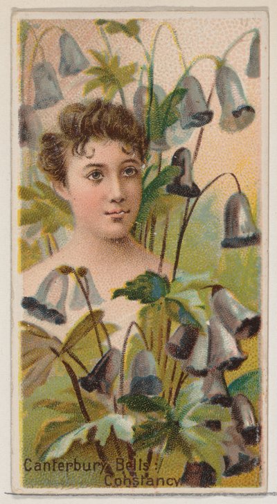 Campanules : Constance, de la série Beautés florales et langage des fleurs N75 - Donaldson Brothers