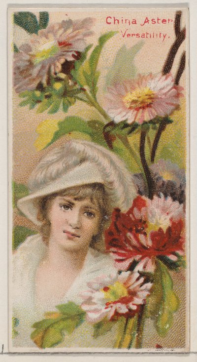 Aster de Chine : Versatilité, de la série Beautés Florales et Langage des Fleurs N75, 1892 - Donaldson Brothers