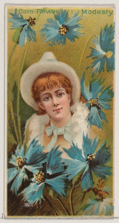 Bleuet : Modestie, de la série Beautés florales et langage des fleurs N75 pour Duk..., 1892 - Donaldson Brothers