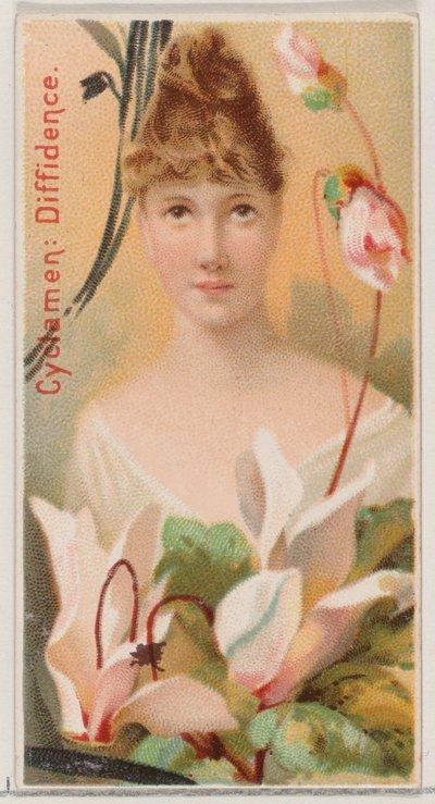 Cyclamen : Diffidence, de la série Beautés florales et langage des fleurs N75 pour Du..., 1892 - Donaldson Brothers