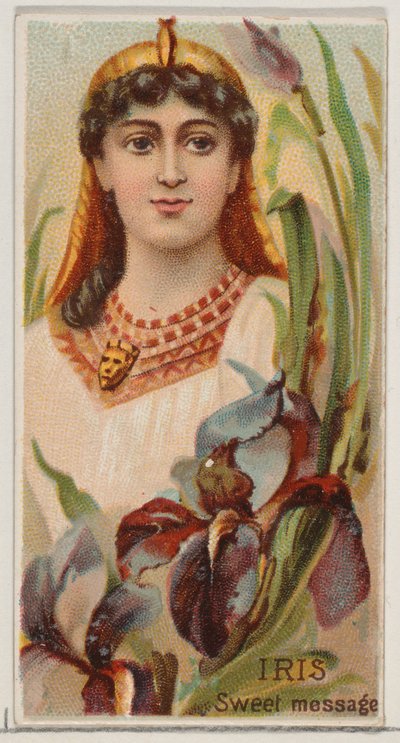 Iris : Message Doux, de la série Beautés Florales et Langage des Fleurs N75 pour Duk..., 1892 - Donaldson Brothers