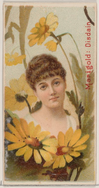 Souci : Mépris, de la série Beautés florales et langage des fleurs N75 pour Duke ..., 1892 - Donaldson Brothers