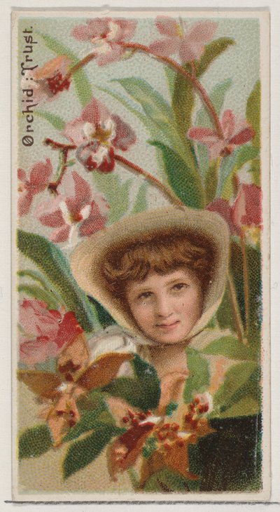 Orchidée : Confiance, de la série Beautés florales et langage des fleurs N75 pour Duke - Donaldson Brothers