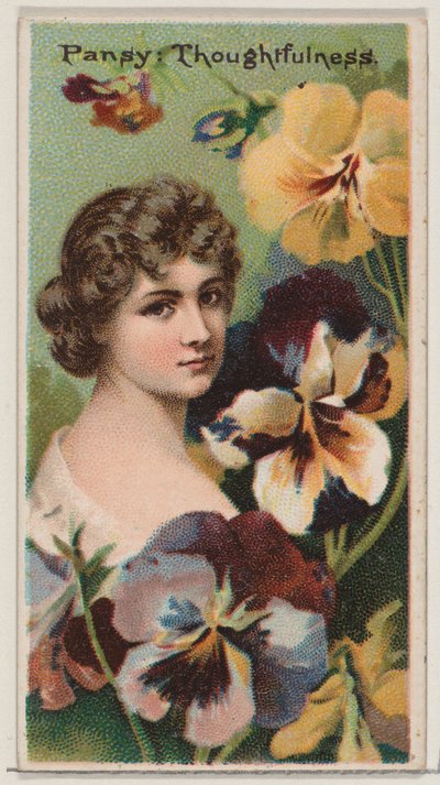 Pensée : Réflexion, de la série Beautés florales et langage des fleurs N75 pour D..., 1892 - Donaldson Brothers