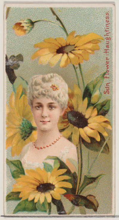 Tournesol : Orgueil, de la série Beautés florales et langage des fleurs N75, 1892 - Donaldson Brothers