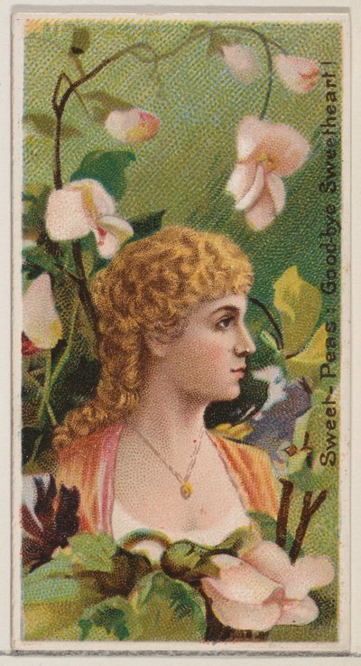 Pois de senteur: Adieu mon amour!, de la série Beautés florales et langage des fleurs... - Donaldson Brothers