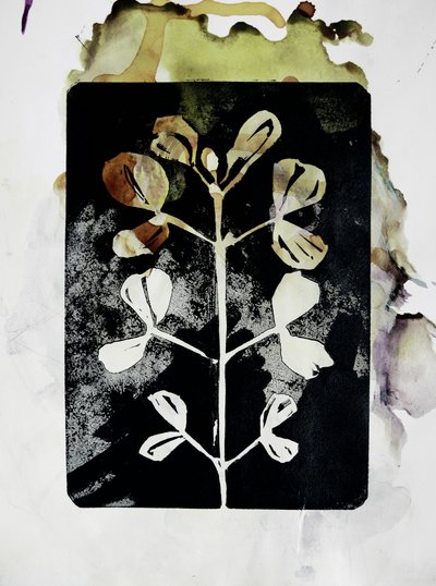  - Doris Schmitz