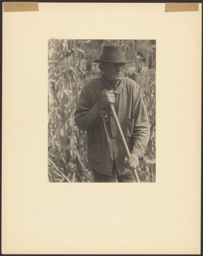 [Homme avec une houe dans un champ de sorgho]. - Doris Ulmann