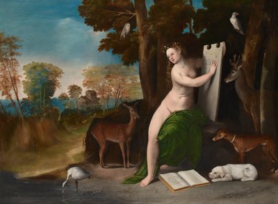  - Dosso Dossi