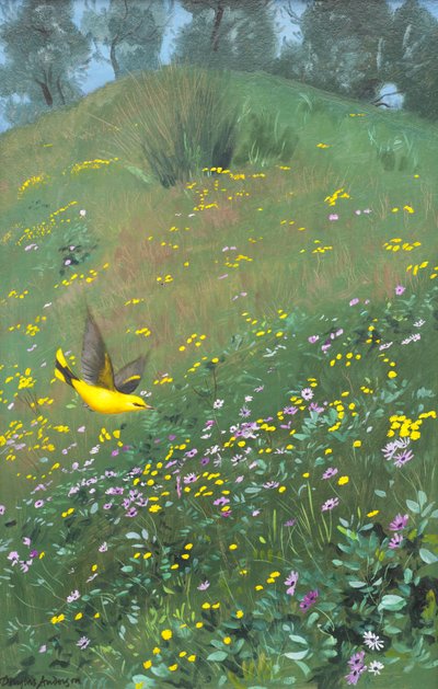 Golden Oriel in Spring Flowers - Douglas Anderson