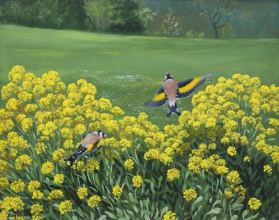 Chardonnerets, 2000 (huile sur carton) - Douglas Anderson