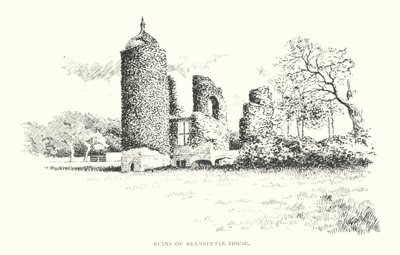 Ruines de Brambletye House - Duncan Moul