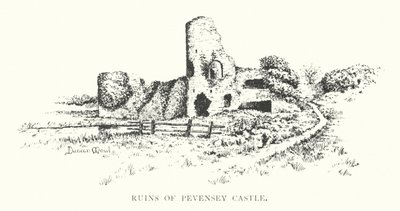 Ruines du château de Pevensey - Duncan Moul